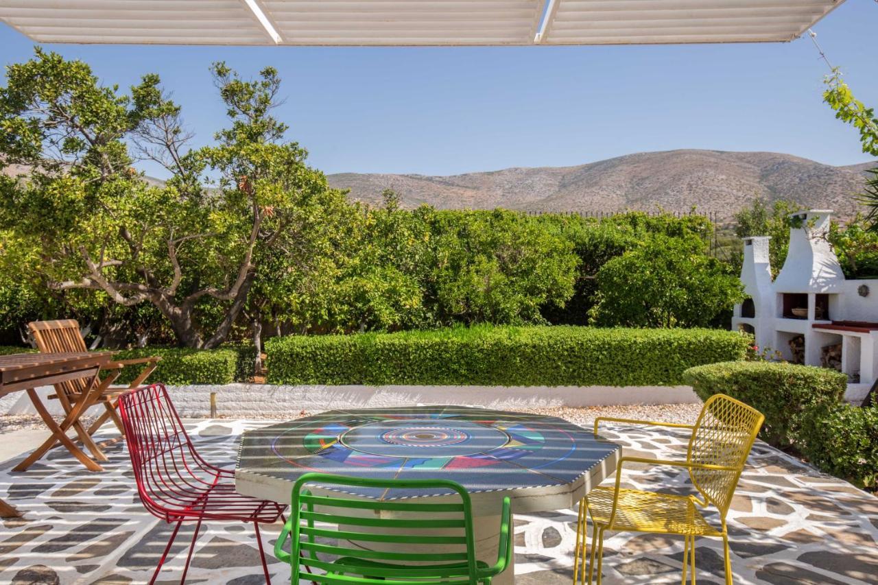 Villa Oasis With Large Pool Athenian Riviera Lagonissi Lagonisi Exterior photo