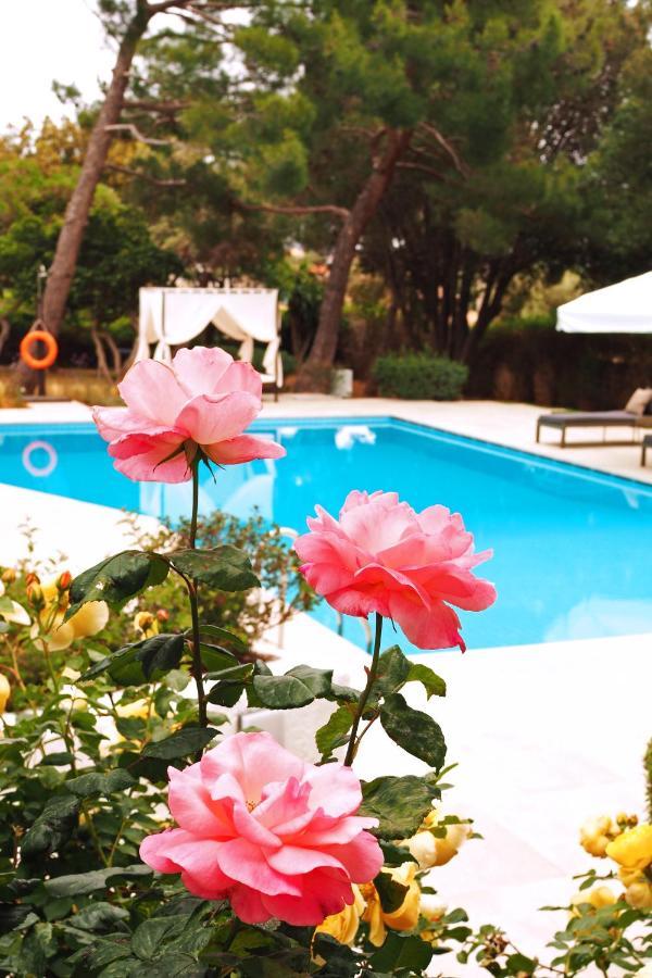 Villa Oasis With Large Pool Athenian Riviera Lagonissi Lagonisi Exterior photo